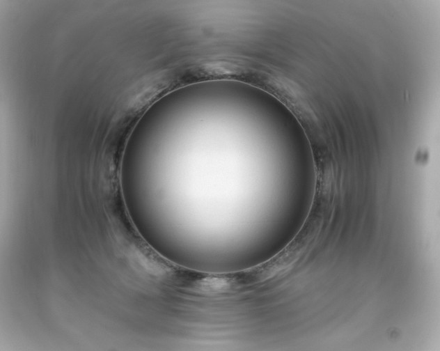 X0000091920418200709121542