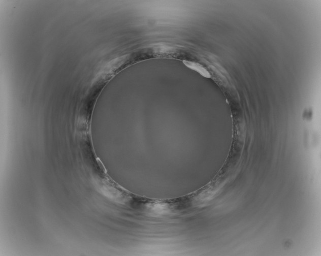 X0000091920419200709121542