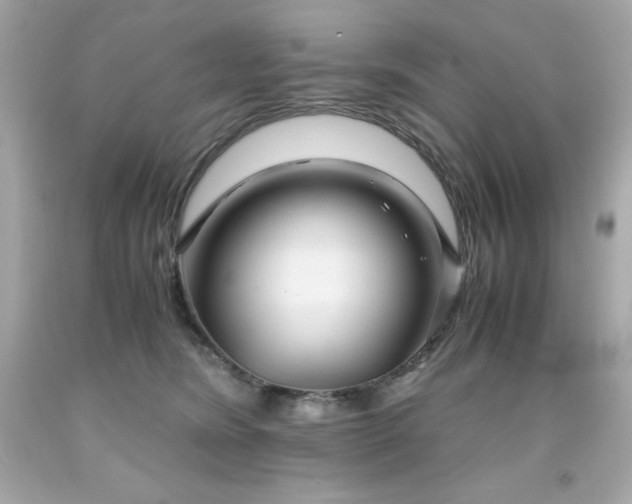 X0000091920420200709121542