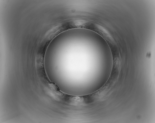 X0000091920421200709121542