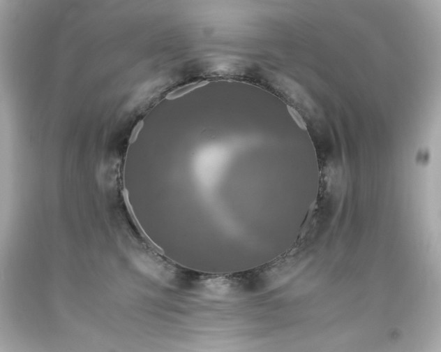 X0000091920423200709121542