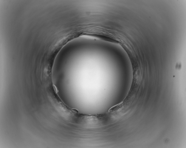 X0000091920424200709121542