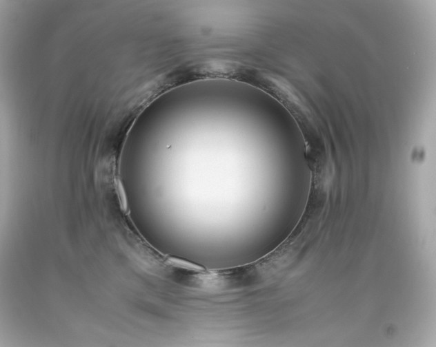 X0000091920425200709121542