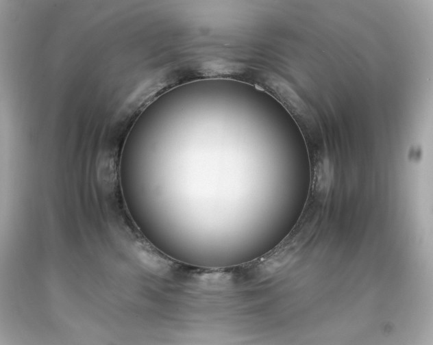 X0000091920426200709121542