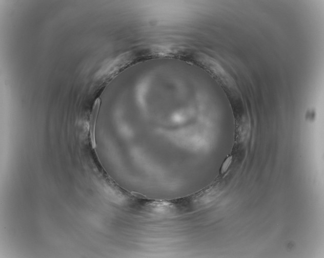 X0000091920427200709121542