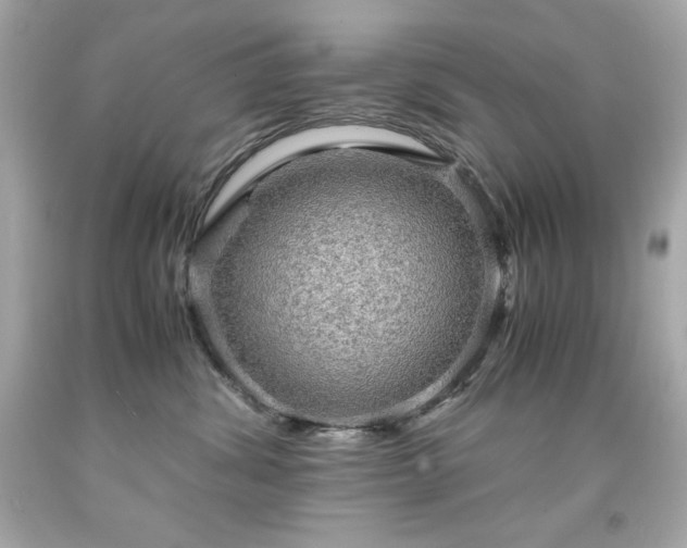 X0000091920428200709121542