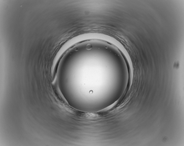 X0000091920429200709121542