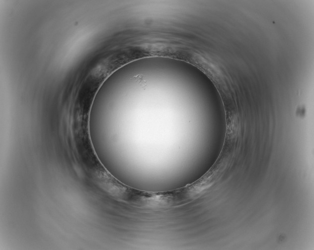 X0000091920430200709121542
