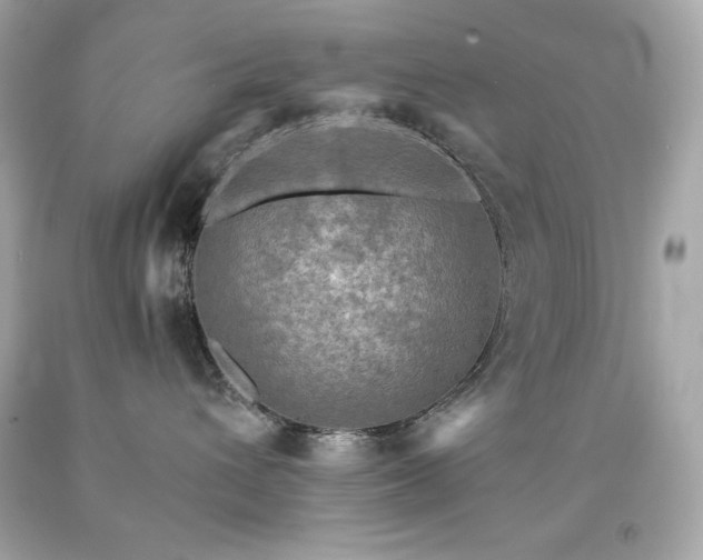 X0000091920432200709121542