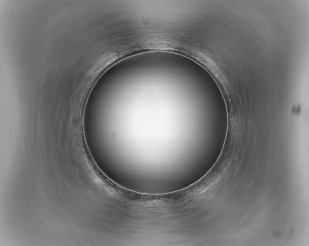 X0000091920433200709121541