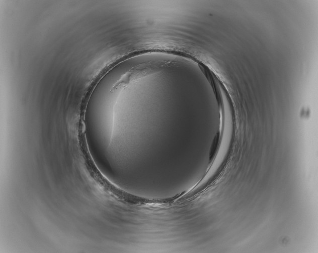 X0000091920434200709121541