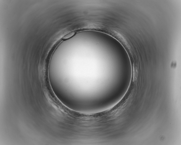 X0000091920435200709121541