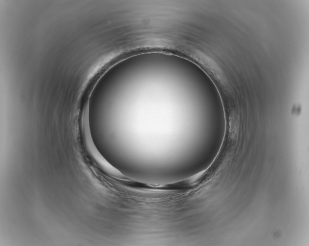 X0000091920436200709121541