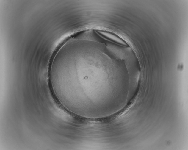 X0000091920438200709121541