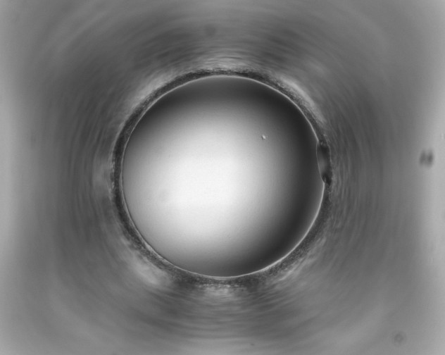 X0000091920439200709121541