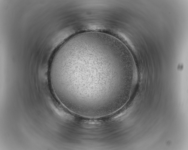 X0000091920443200709121541