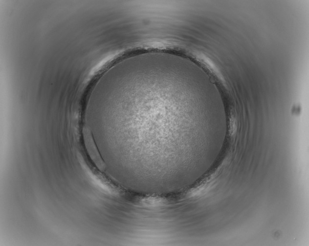 X0000091920444200709121541