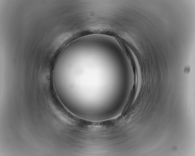 X0000091920448200709121541