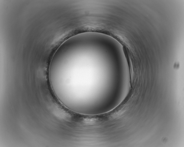 X0000091920450200709121542