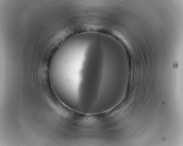 X0000091920451200709121542