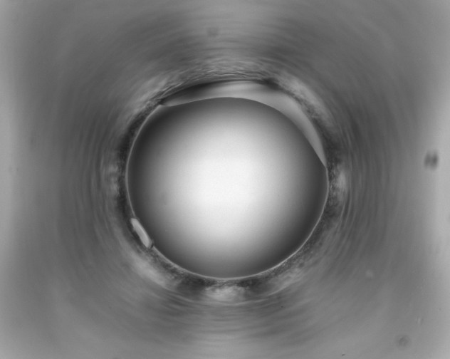X0000091920452200709121542