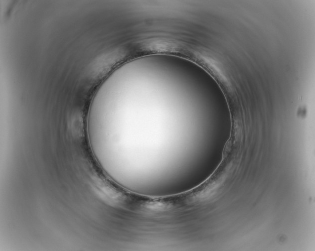 X0000091920453200709121542