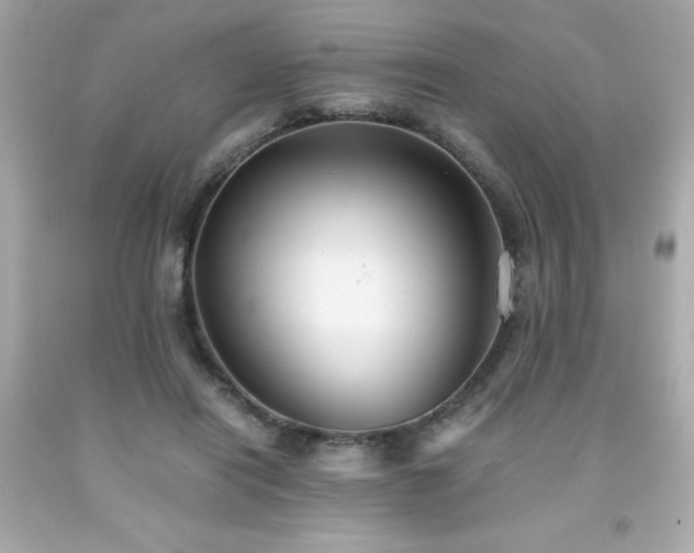 X0000091920454200709121542
