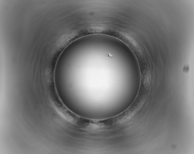 X0000091920455200709121542
