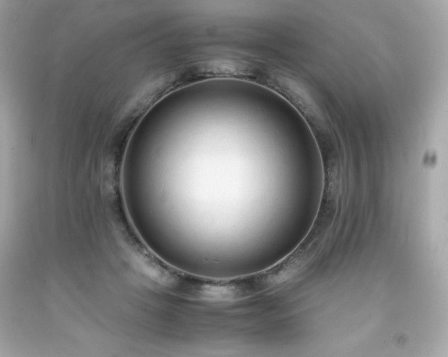 X0000091920457200709121542