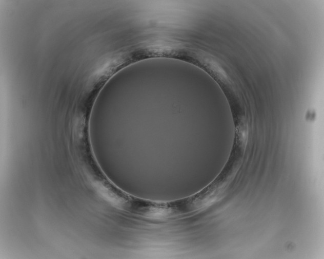 X0000091920458200709121542