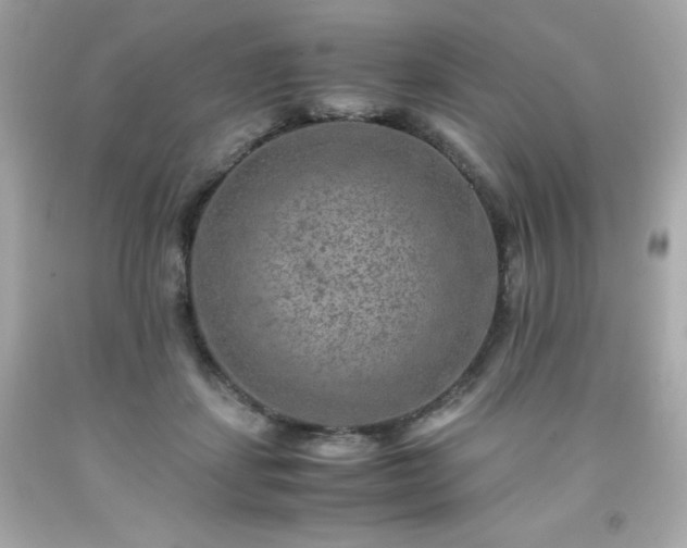 X0000091920459200709121542