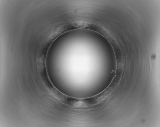 X0000091920460200709121542