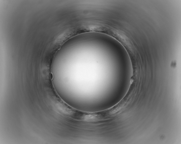 X0000091920461200709121542