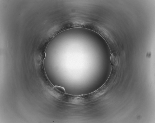 X0000091920463200709121542