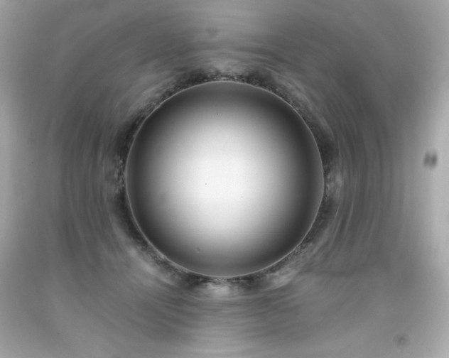 X0000091920464200709121542