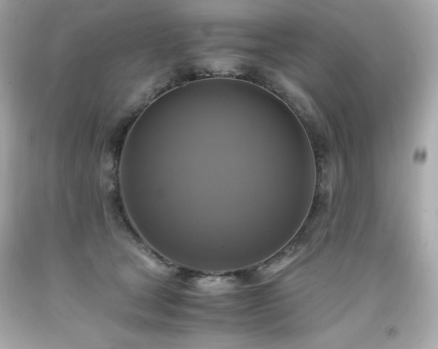 X0000091920465200709121542