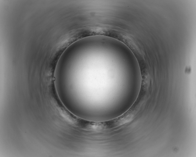 X0000091920466200709121542