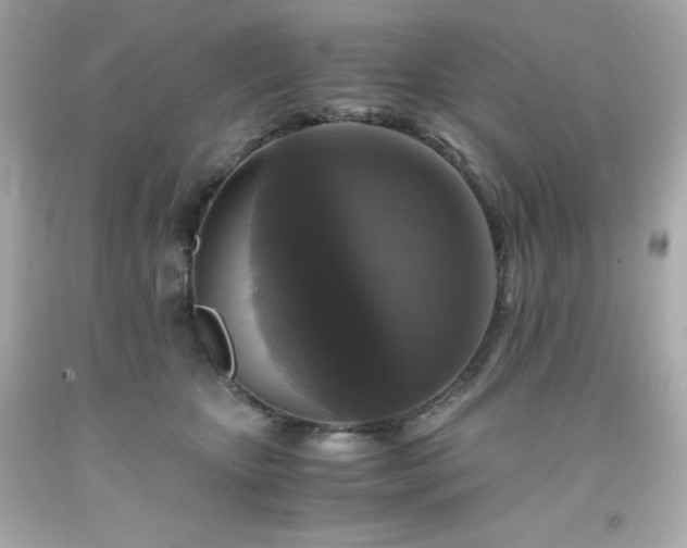 X0000091920467200709121542