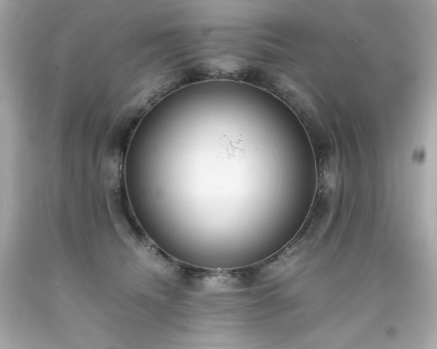 X0000091920468200709121542