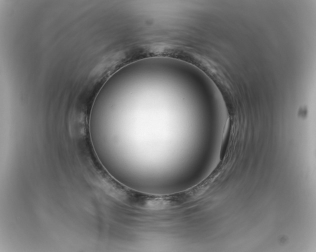 X0000091920470200709121542