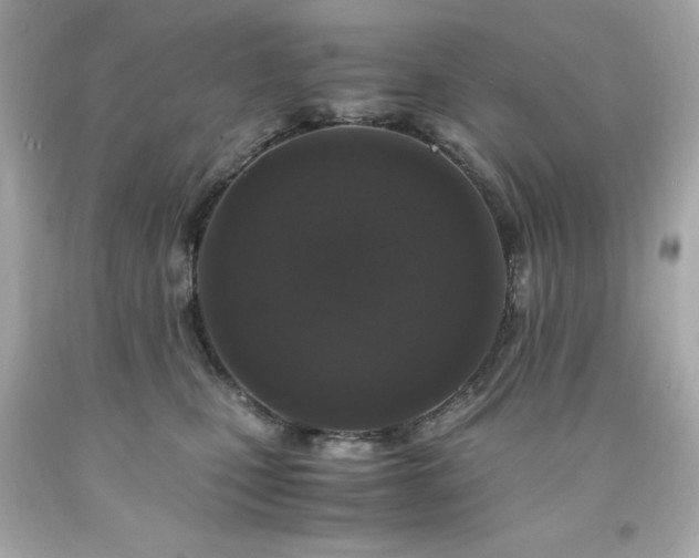 X0000091920471200709121542