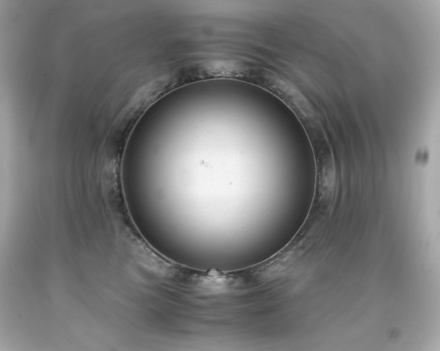 X0000091920473200709121542