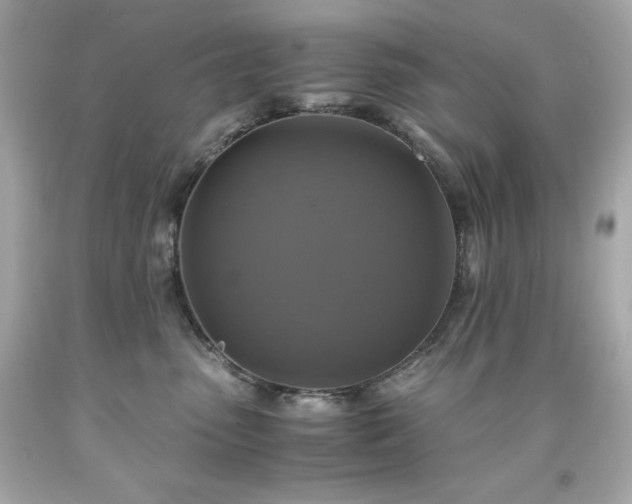 X0000091920475200709121542