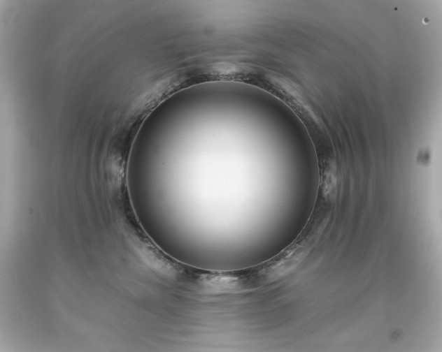 X0000091920476200709121542
