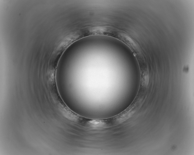 X0000091920477200709121542