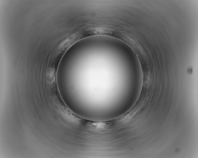 X0000091920478200709121542