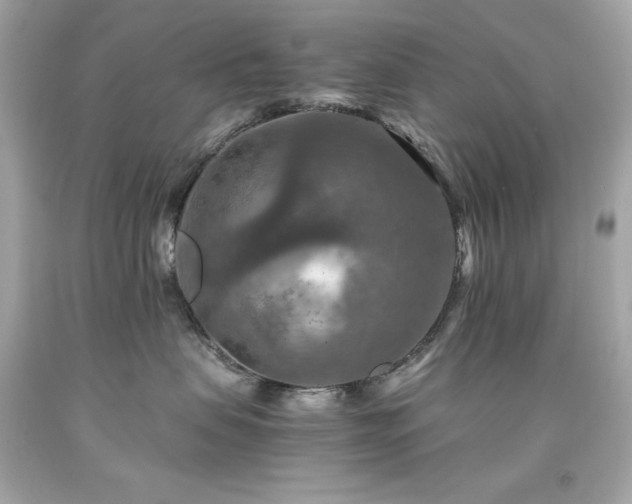X0000091920479200709121542