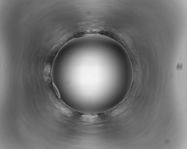 X0000091920480200709121542