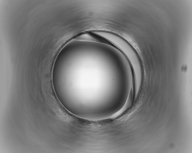 X0000091920481200709121541