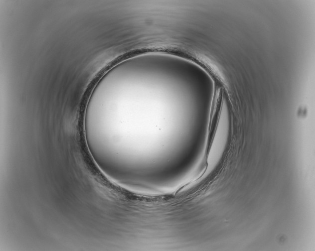 X0000091920483200709121541